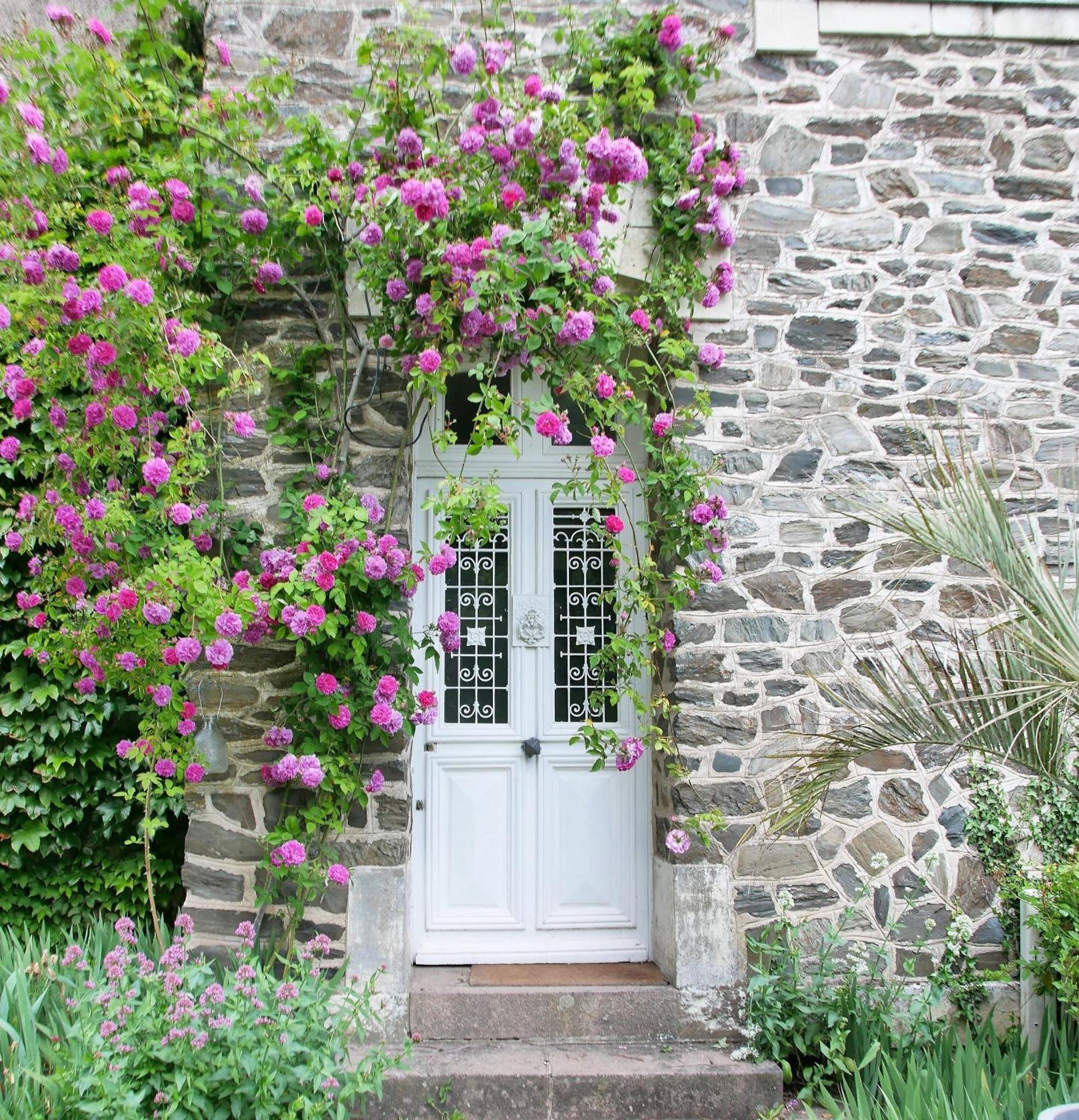 Maison D'Hotes La Bien-Aimee Montrevault Exterior foto